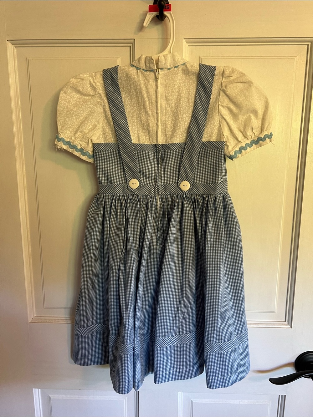 Costume Wizard of Oz Dorthy